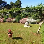 Nicole Appartement Pula