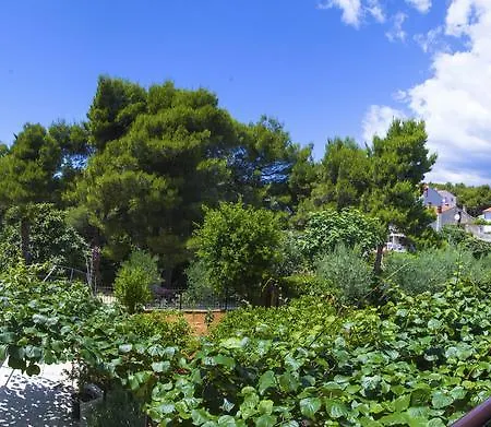 Nicole Apartamento *