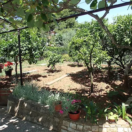 Apartamento Nicole *