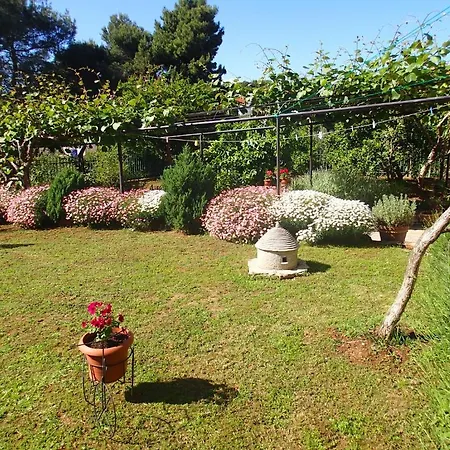 Nicole Apartamento Pula